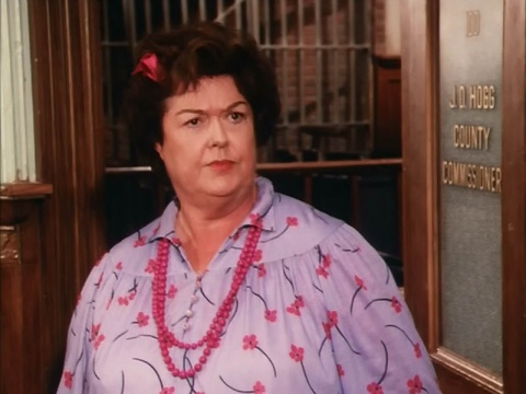 New Deputy in Town - Dukes of Hazzard Wiki