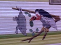 Thumbnail for version as of 12:06, 12 April 2020