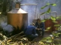 Thumbnail for version as of 06:08, 7 April 2020